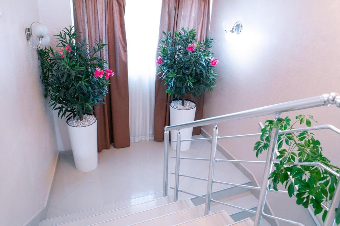 Hotel Zeleni Vir Ni Dış mekan fotoğraf